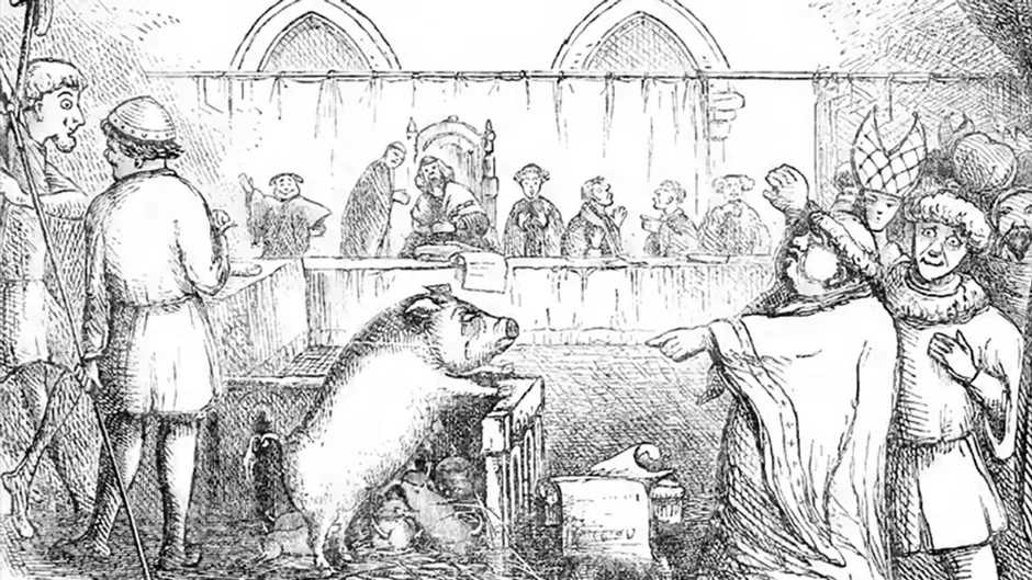 Animals in Court: Animal Trials and Executions in History