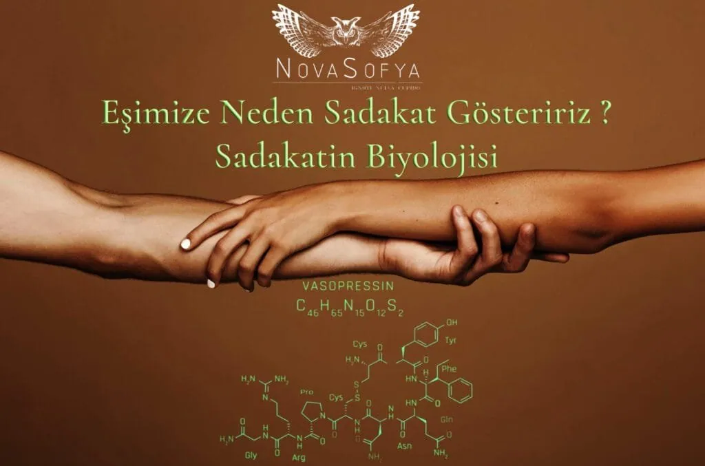 Why Do We Be Faithful to Our Spouse? The Biology of Loyalty